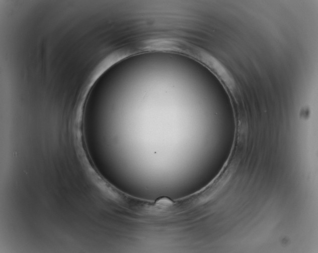 X0000103301386200808291355
