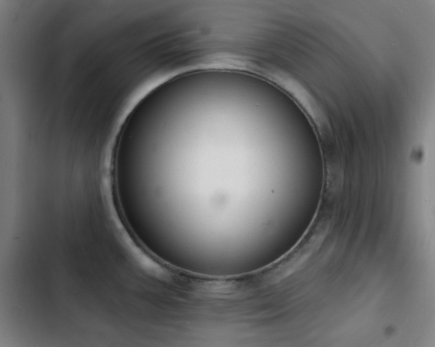 X0000103301387200808291355