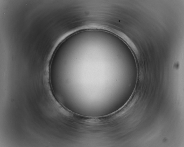 X0000103301388200808291355