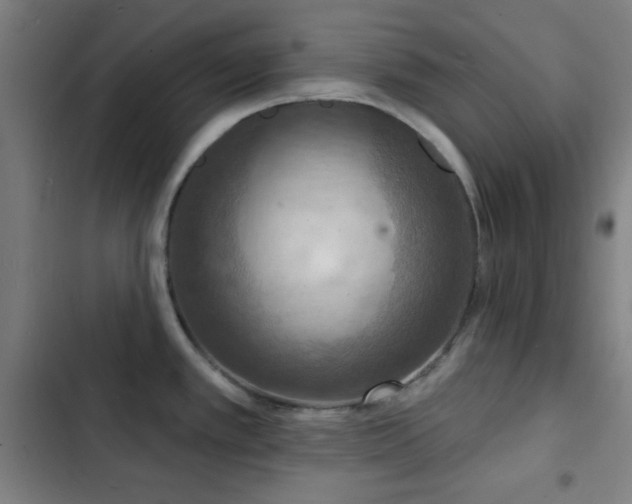 X0000103301389200808291355