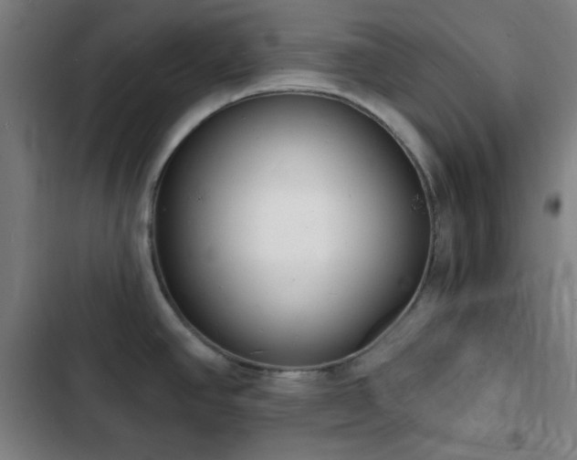 X0000103301390200808291355