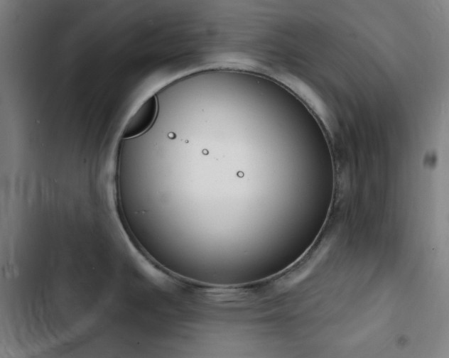 X0000103301391200808291355