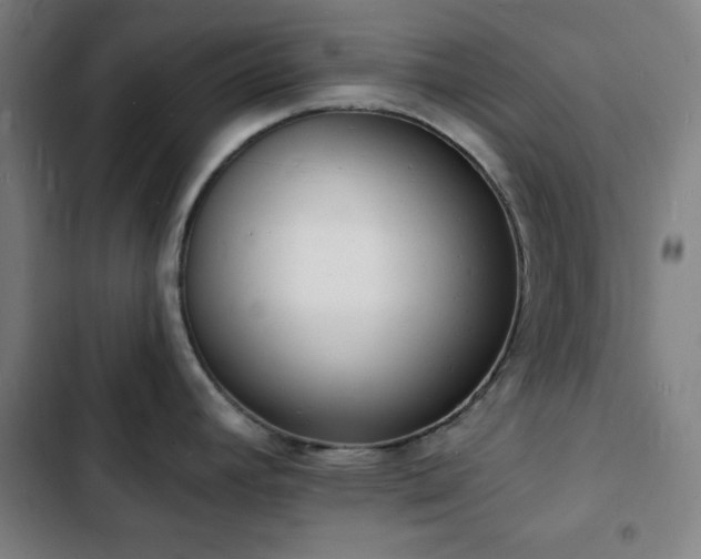 X0000103301392200808291355