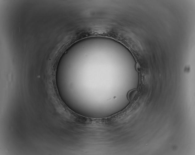 X0000103301393200808291354