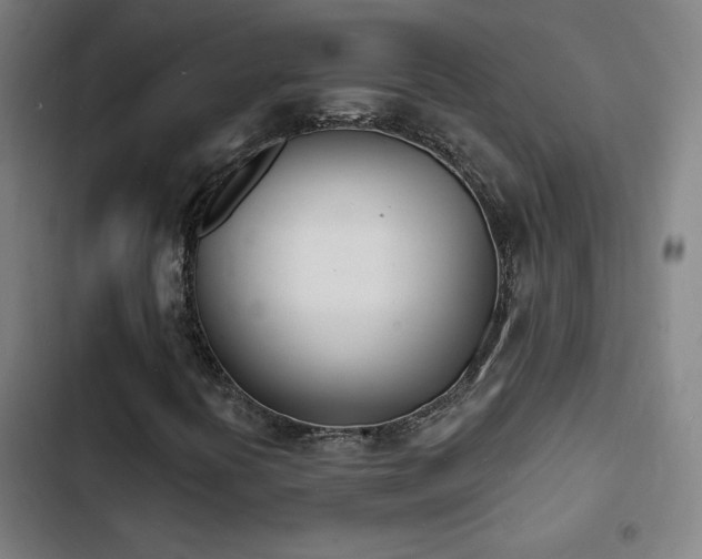 X0000103301394200808291354