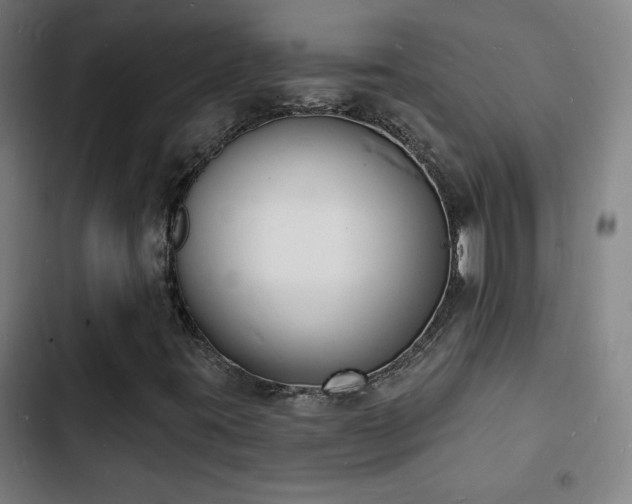 X0000103301395200808291354