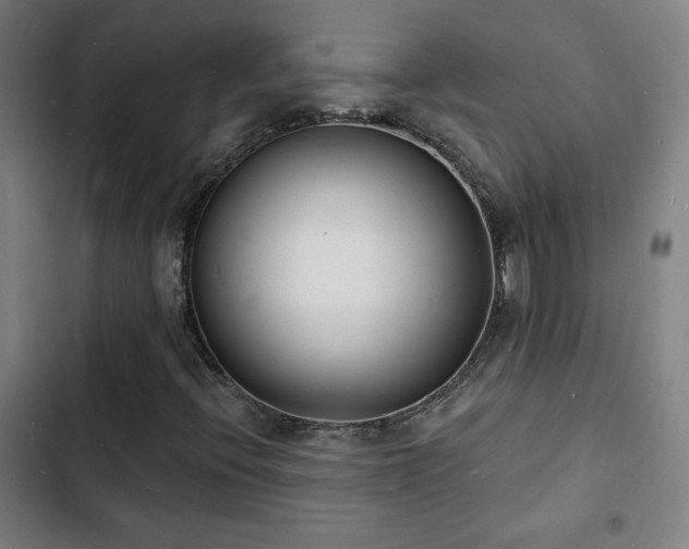 X0000103301396200808291354
