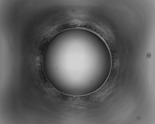 X0000103301397200808291354