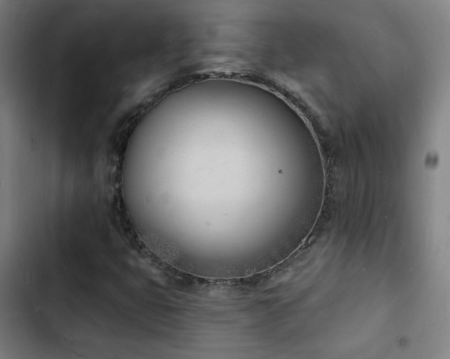 X0000103301399200808291354