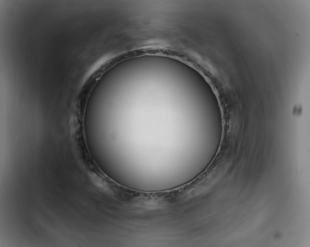 X0000103301400200808291354