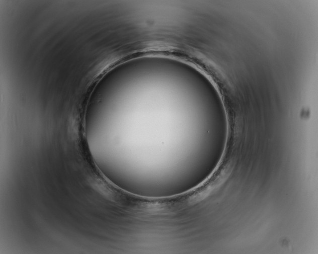 X0000103301401200808291354