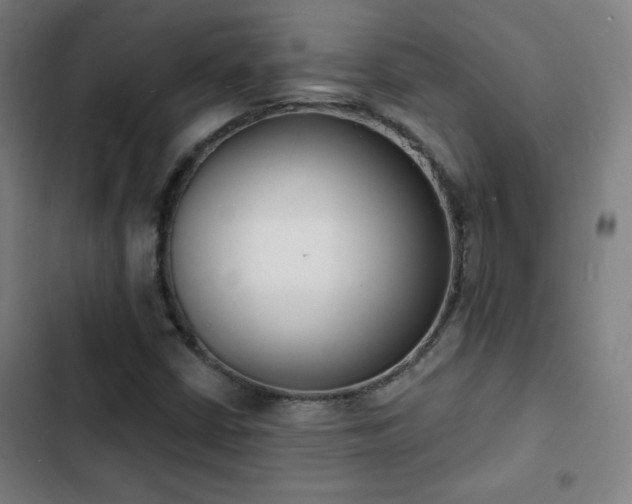 X0000103301402200808291354