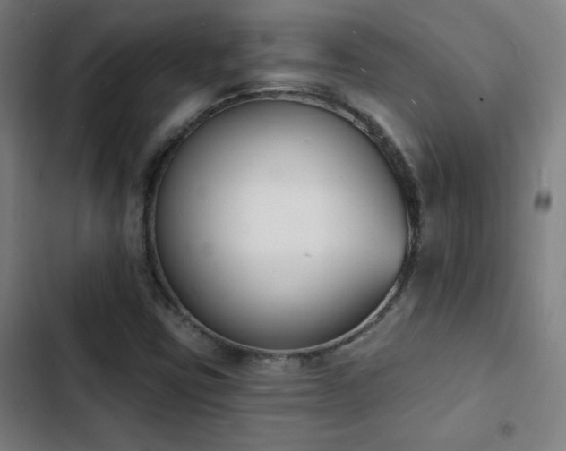 X0000103301403200808291354