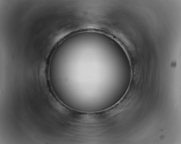 X0000103301404200808291354
