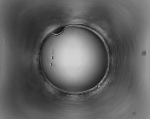 X0000103301405200808291354