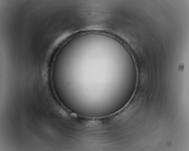 X0000103301406200808291354