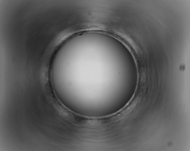 X0000103301407200808291354