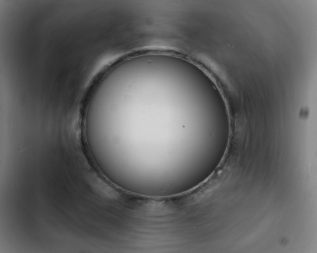 X0000103301408200808291354