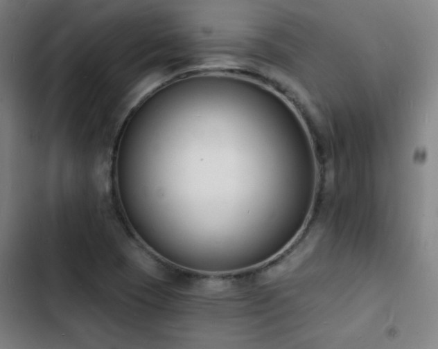 X0000103301409200808291354