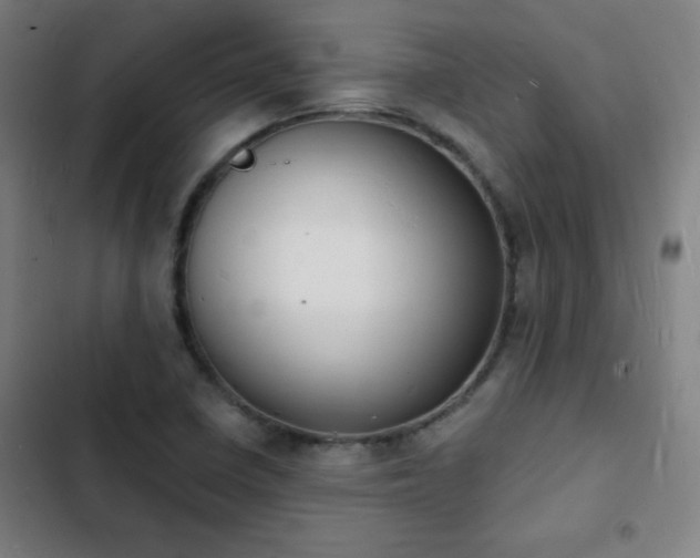 X0000103301410200808291354