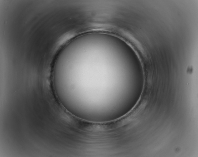 X0000103301411200808291354