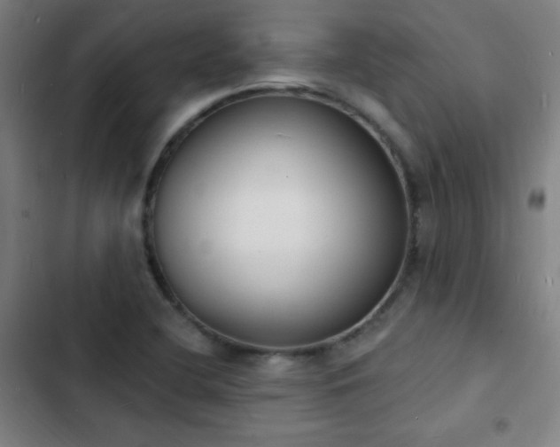 X0000103301412200808291354