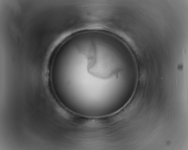 X0000103301414200808291355