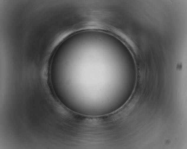 X0000103301415200808291355