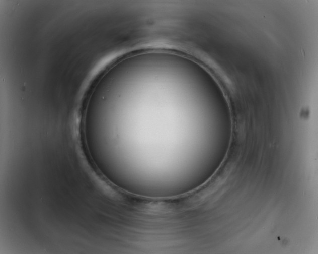 X0000103301416200808291355