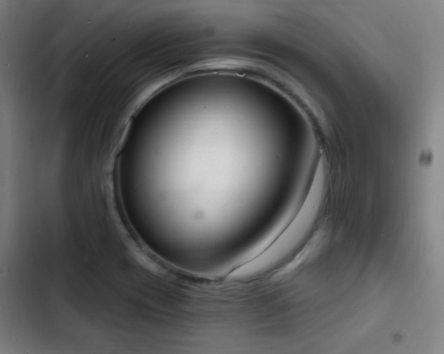 X0000103301417200808291355