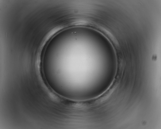 X0000103301418200808291355