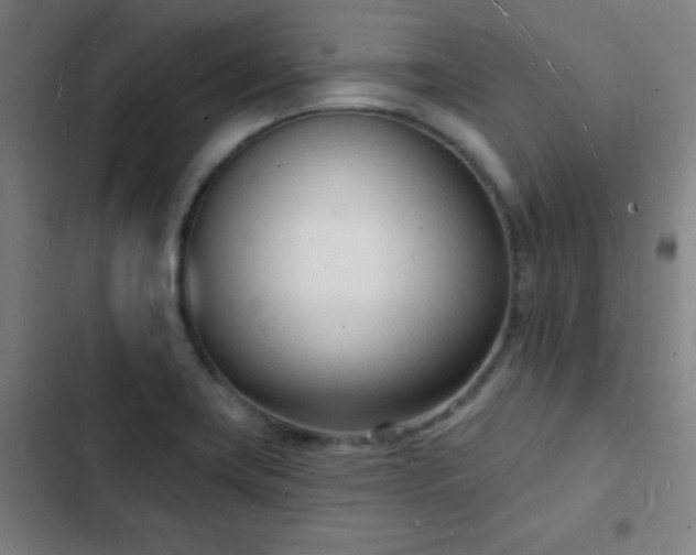 X0000103301419200808291355