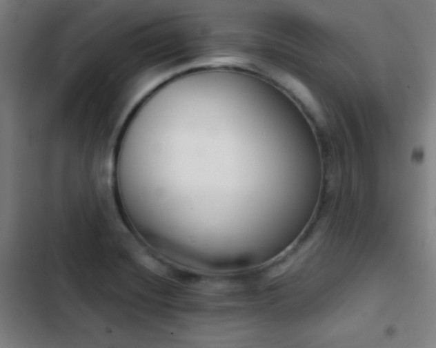 X0000103301420200808291355