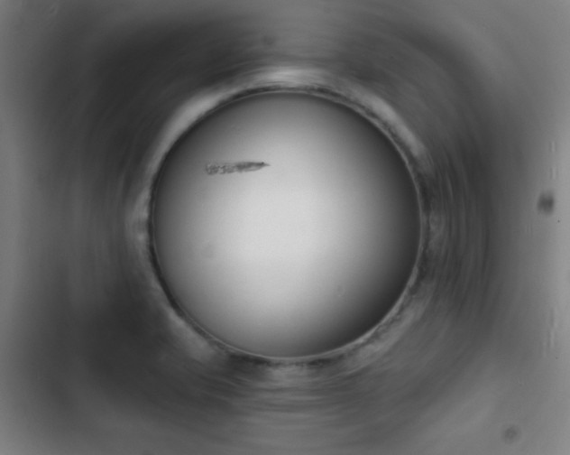 X0000103301421200808291355
