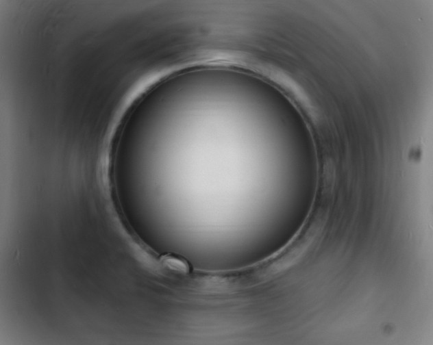 X0000103301424200808291355