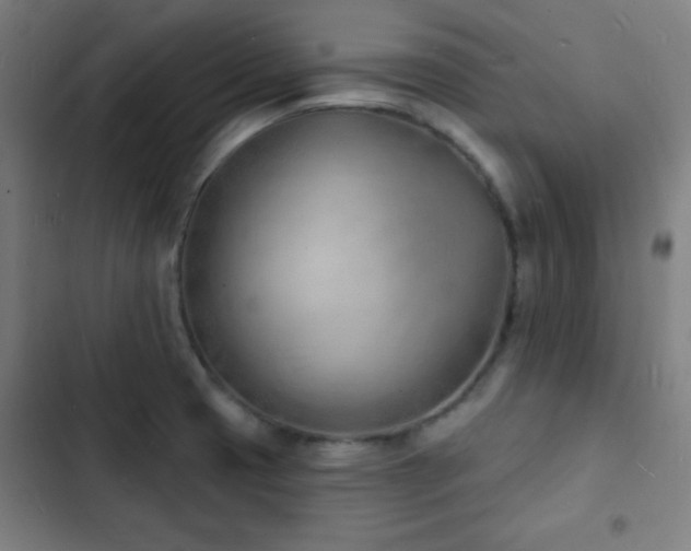 X0000103301425200808291355
