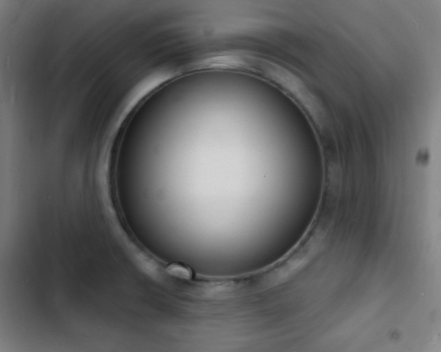 X0000103301426200808291355