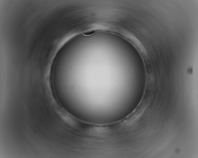 X0000103301427200808291355