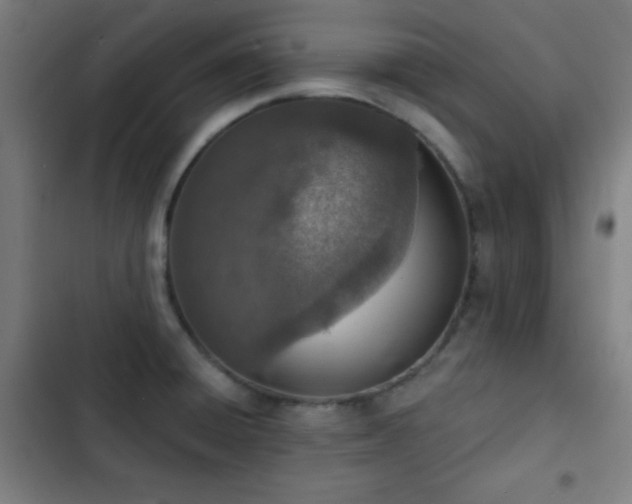 X0000103301428200808291355
