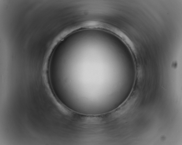 X0000103301429200808291355