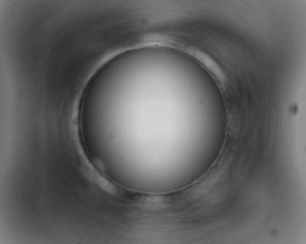 X0000103301431200808291355