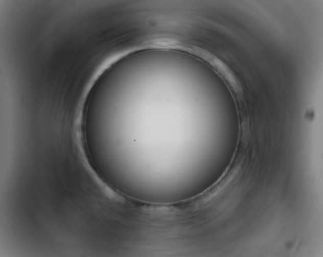 X0000103301432200808291355
