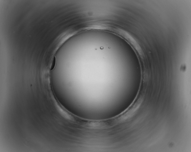 X0000103301433200808291355