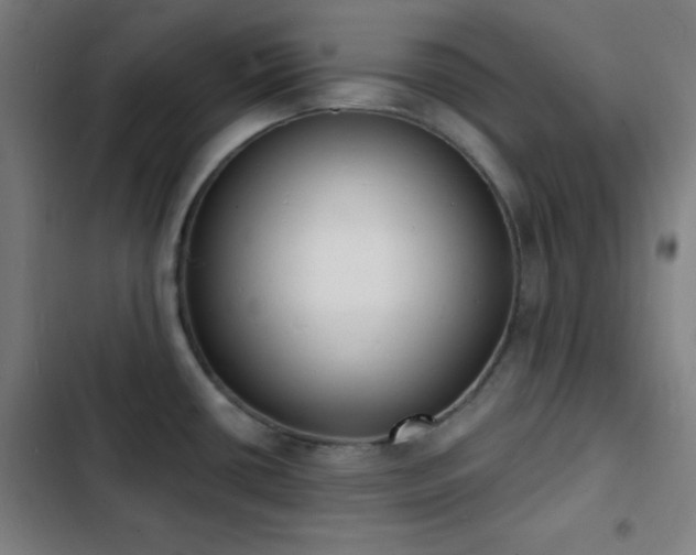 X0000103301434200808291355