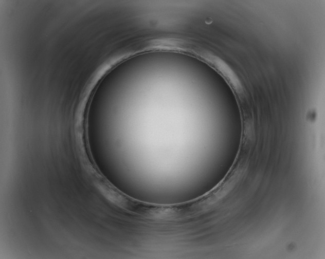 X0000103301435200808291355