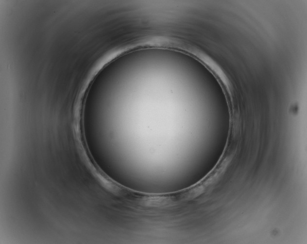 X0000103301437200808291355