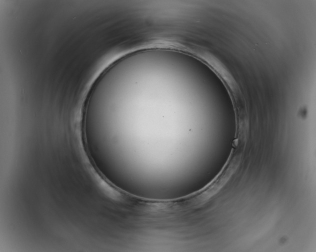 X0000103301438200808291355