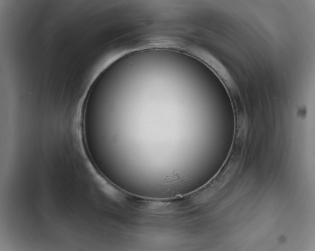 X0000103301439200808291355
