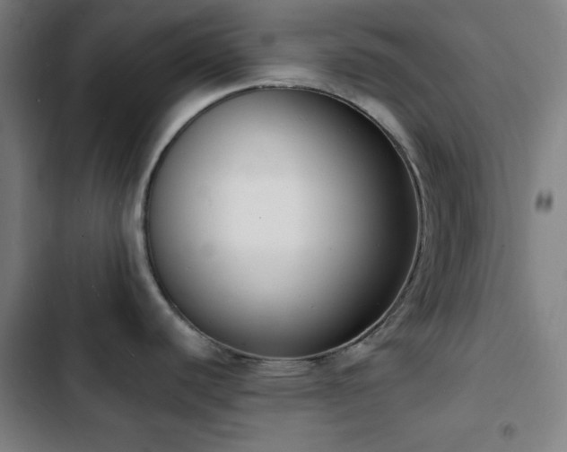 X0000103301440200808291355