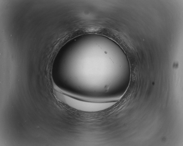 X0000103301441200808291354